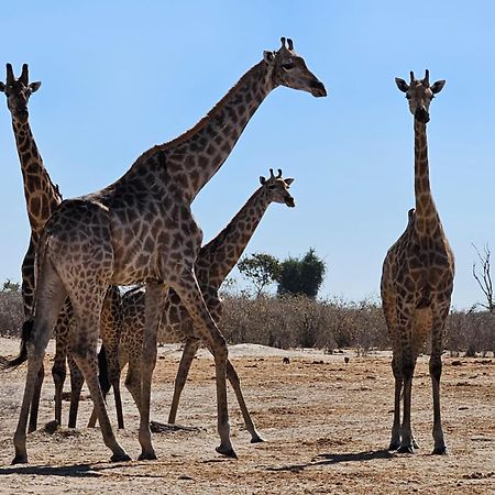 Xhabe Safari Lodge Chobe Muchenje Eksteriør billede