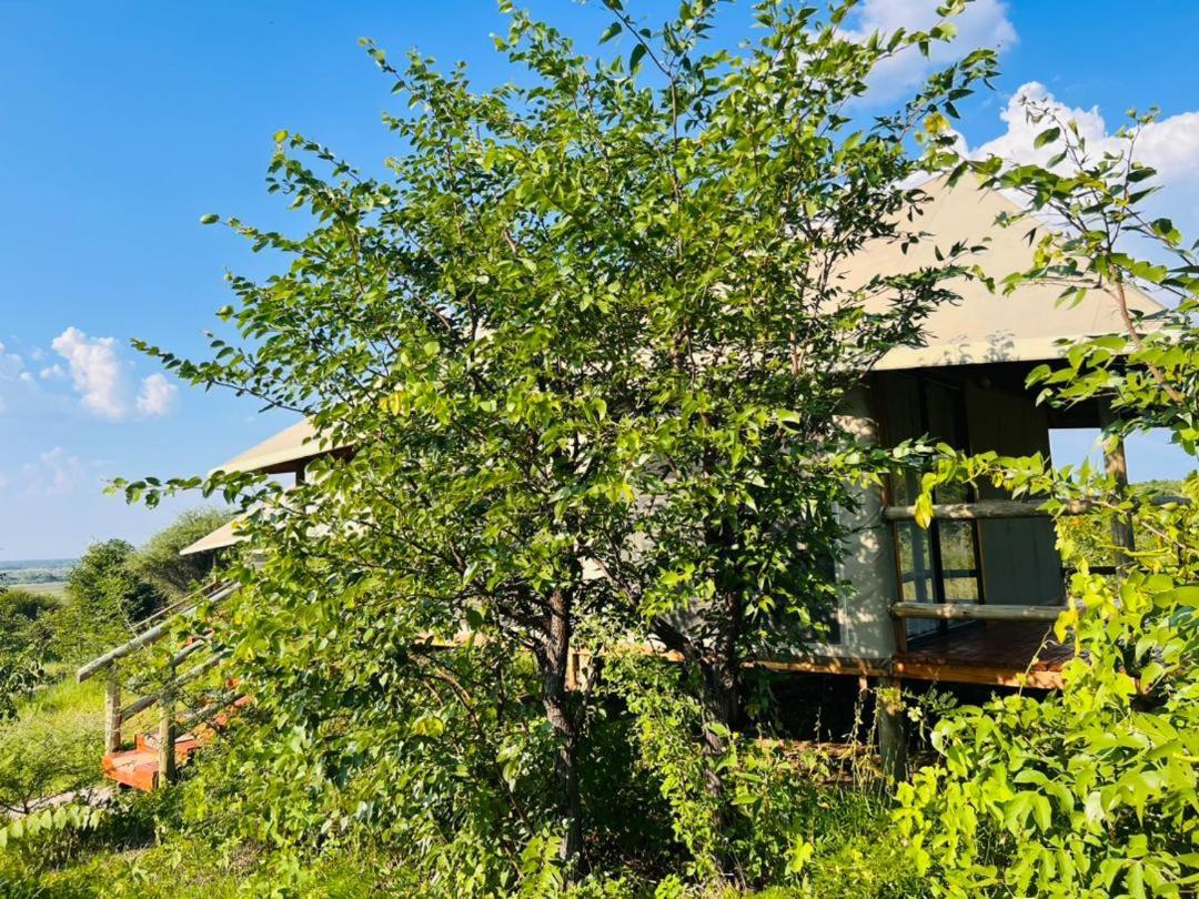 Xhabe Safari Lodge Chobe Muchenje Eksteriør billede