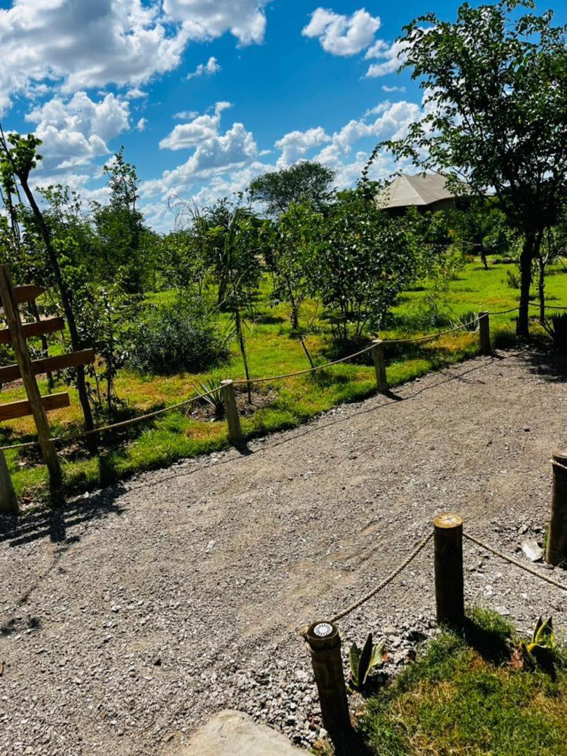 Xhabe Safari Lodge Chobe Muchenje Eksteriør billede